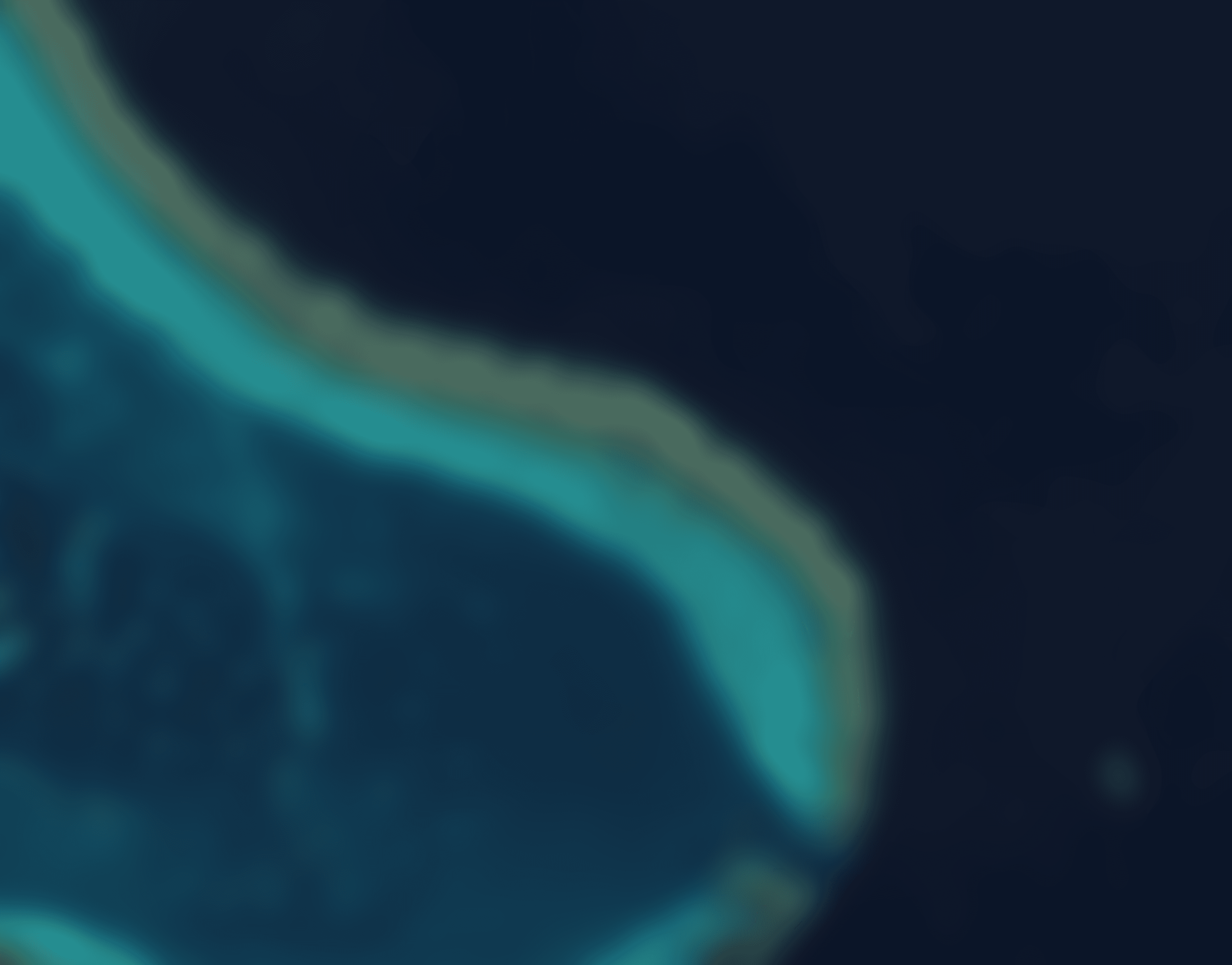 banner_img