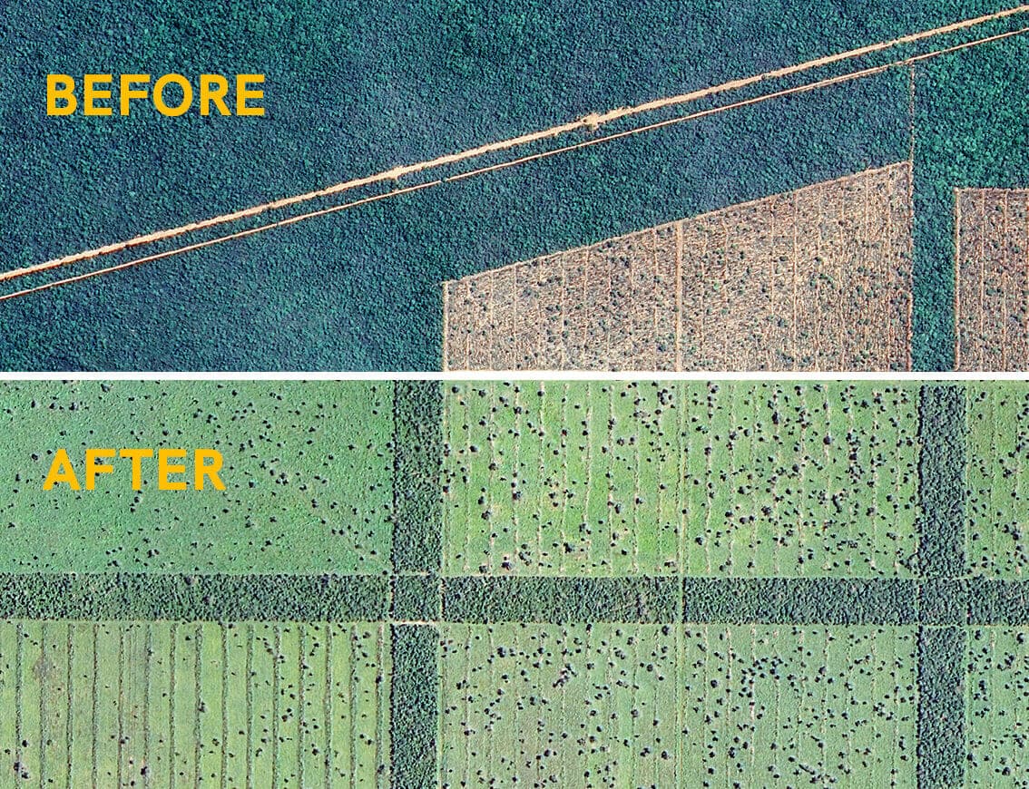 crop monitoring