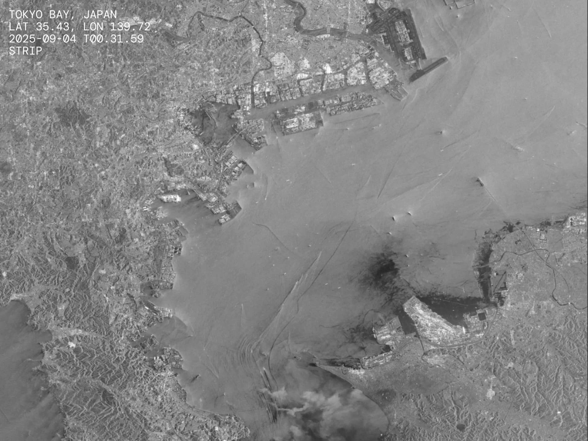 land monitoring: urban growth, coastal change, terrain movement