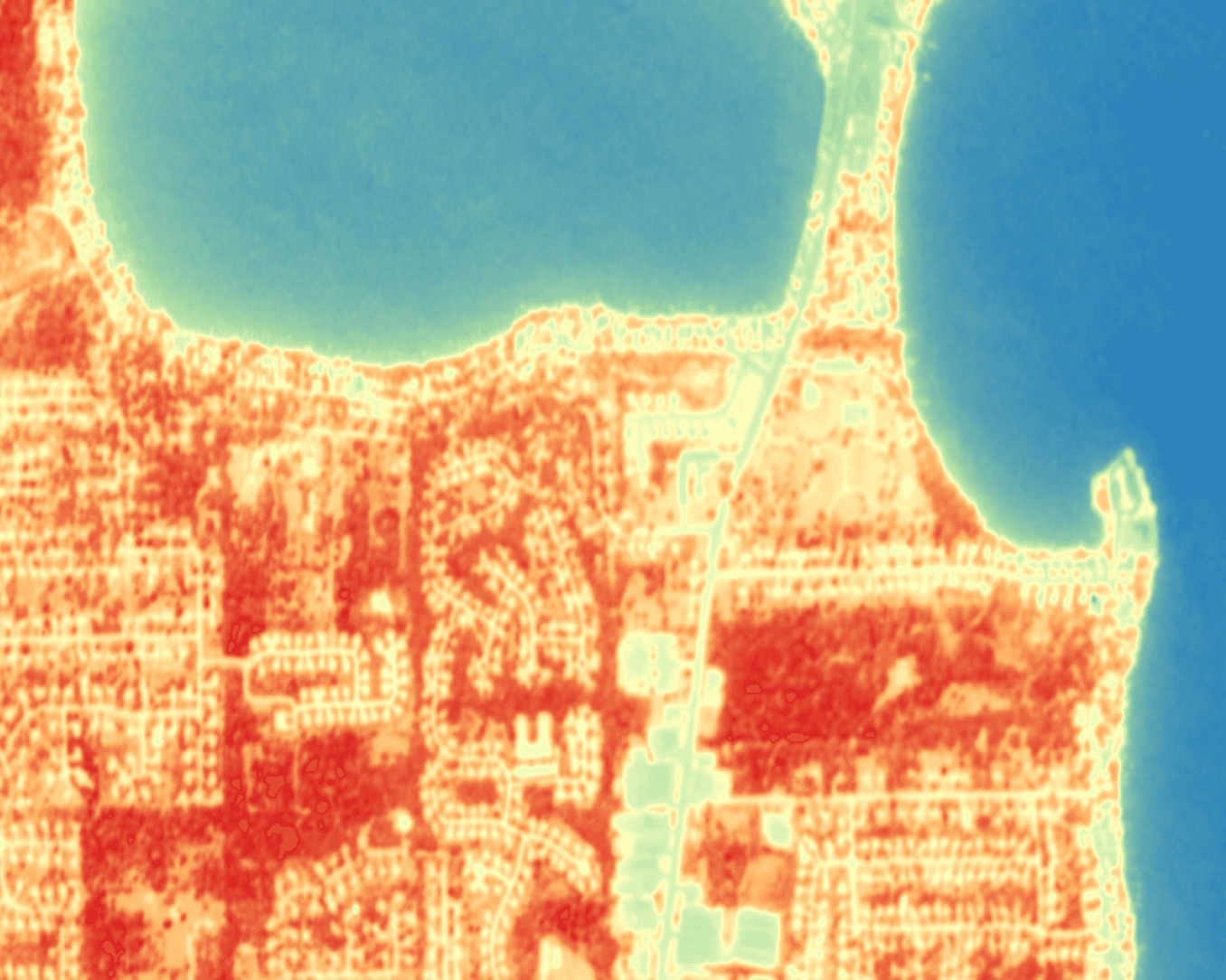 Output after applying NDVI analysis.