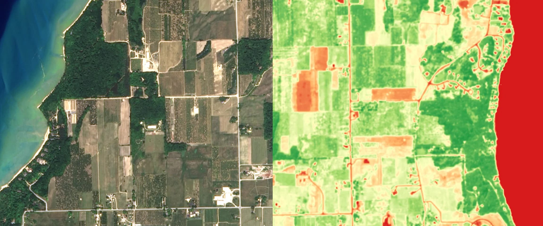 NDVI