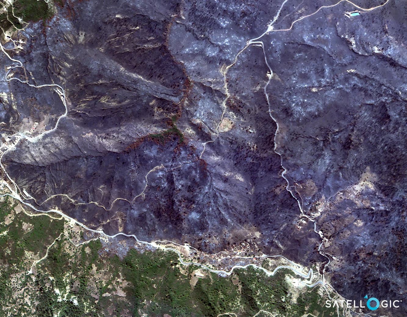 Wildfire in Djebla, Algeria