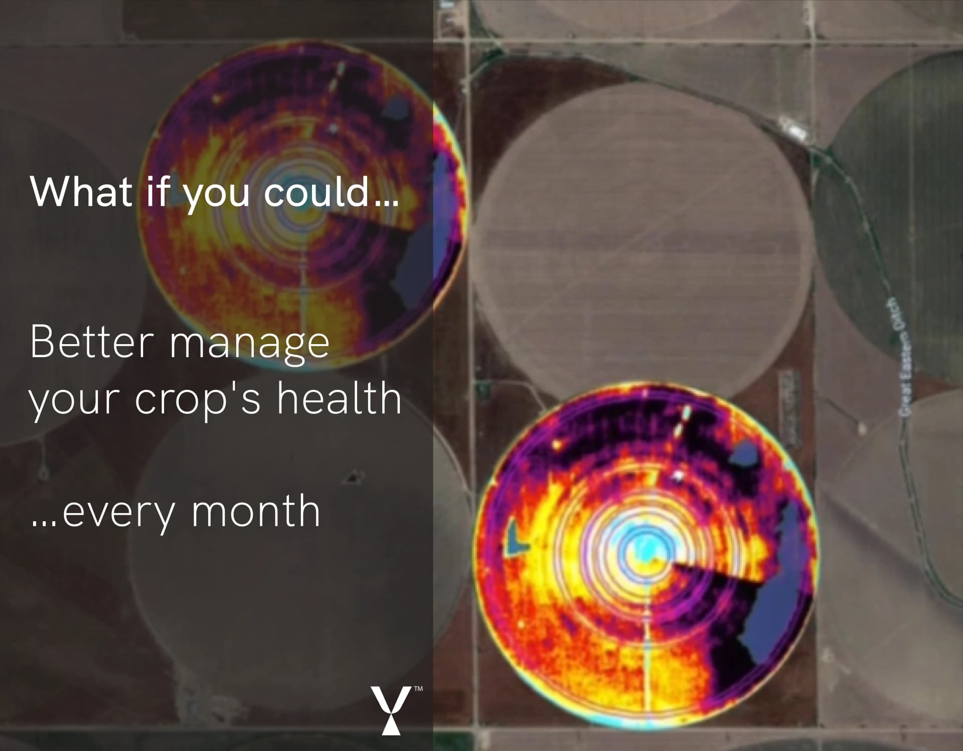 Soil Moisture Content Analysis