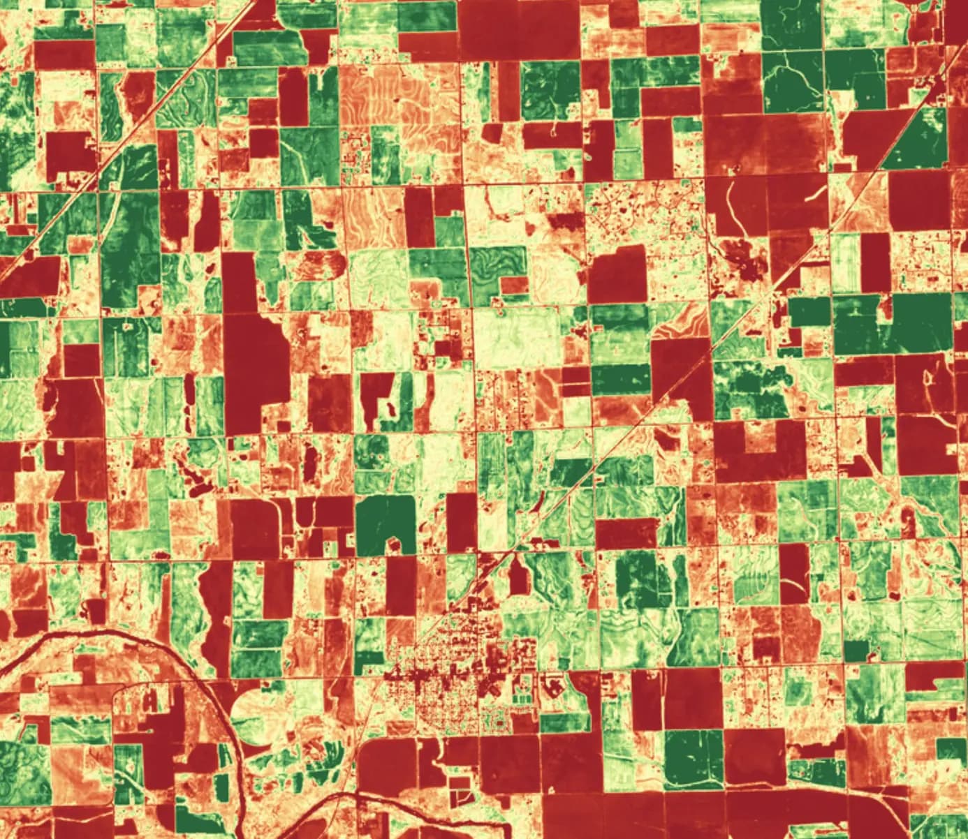 Satellites and Vegetation