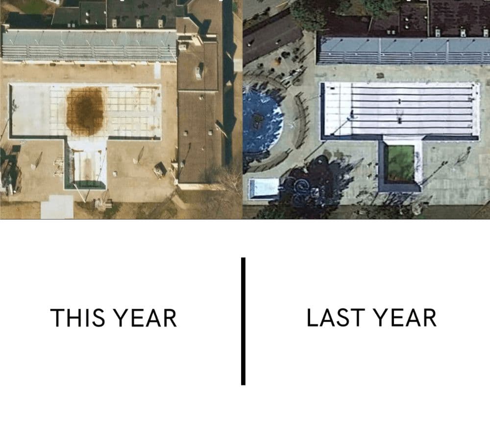 this year last year (1)