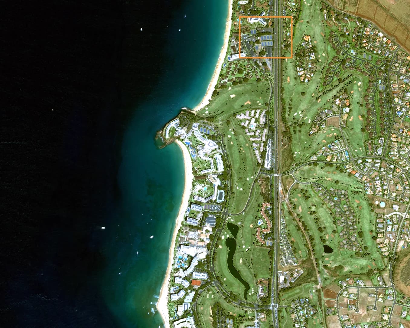 Daytime 50 cm – Maui, Hawaii