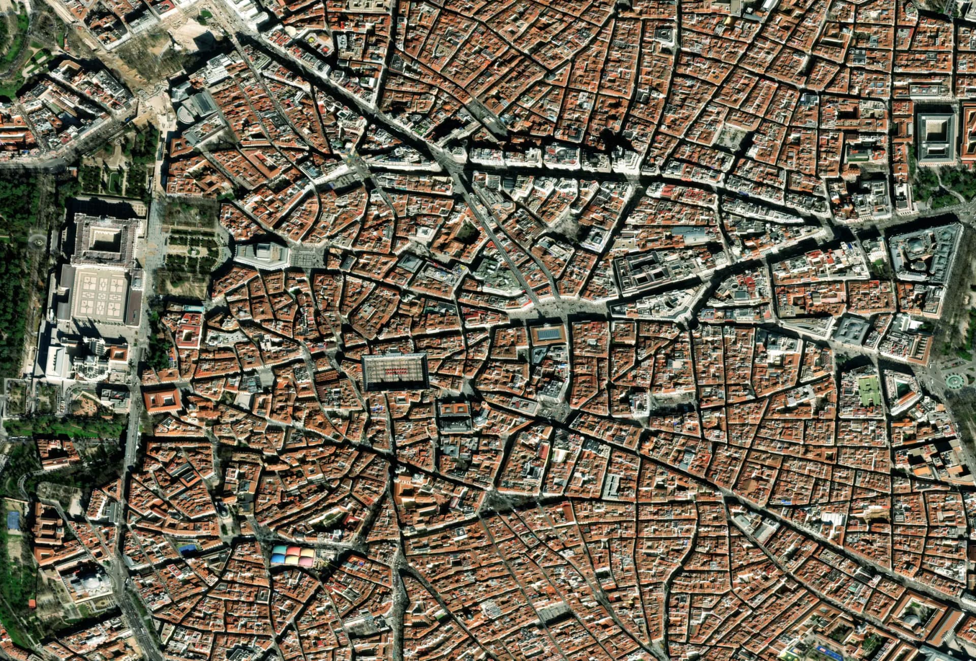 Vivid Basemap 50 CM
